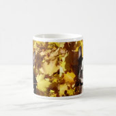 紅葉のマグによって囲まれるボストンテリア犬 コーヒーマグカップ (中央)