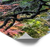 紅葉のレースリーフ和風楓の木の植物画 ポスター (角)