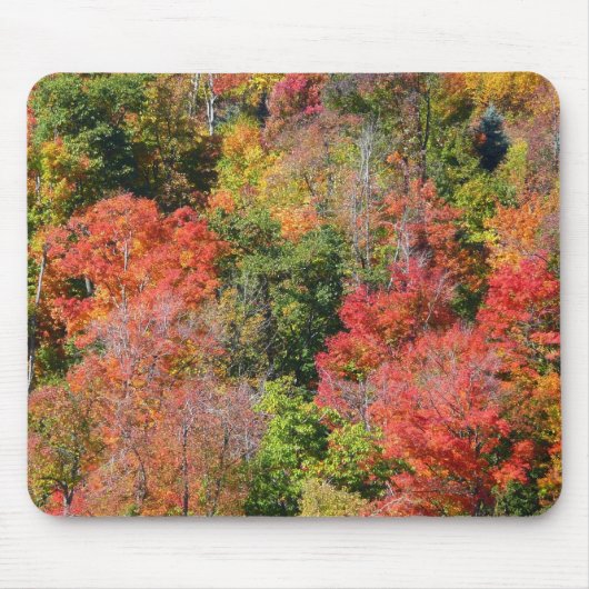 紅葉の丘の色とりどりの秋の自然写真 マウスパッド (正面)