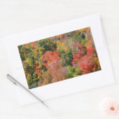 紅葉の丘の色とりどりの秋の自然写真 長方形シール (封筒)
