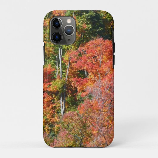 紅葉の丘の色彩豊かな秋の自然写真 Case-Mate iPhoneケース (裏面)