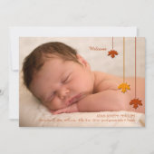 紅葉の写真の誕生の発表 案内状 (正面)