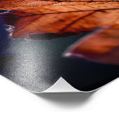 紅葉の写真拡大 フォトプリント            (角)