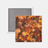 紅葉の写真 マグネット (正面/裏面)