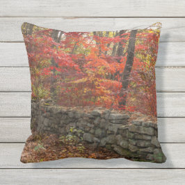 紅葉の写真-紅葉の装飾用クッション アウトドアクッション