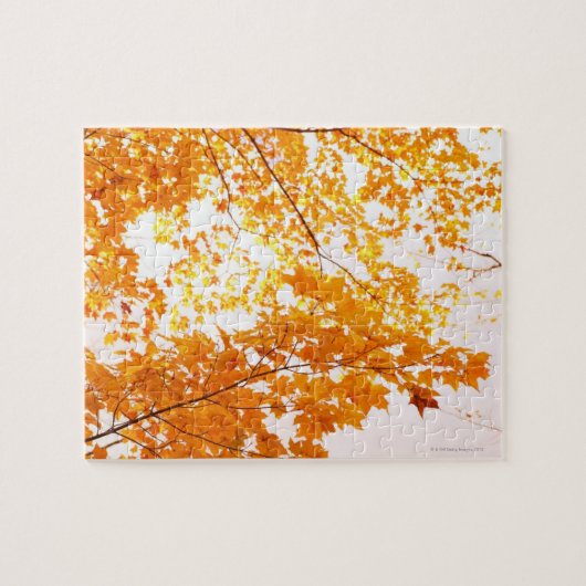 紅葉の反射 ジグソーパズル (横)