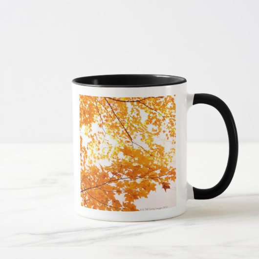 紅葉の反射 マグカップ (右)