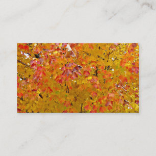 紅葉の名刺、紅葉、自然 名刺