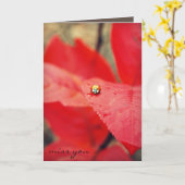 紅葉の失敗のてんとう虫 カード (黄色い花)