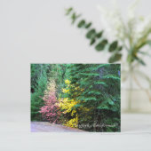 紅葉の山…...はがき ポストカード (スタンド正面)