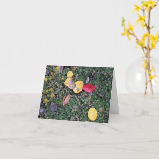 紅葉の悔やみや弔慰カード カード (黄色い花)