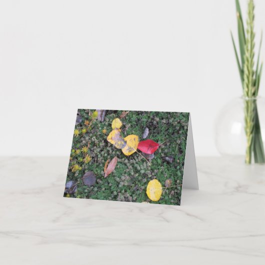 紅葉の悔やみや弔慰カード カード (正面)