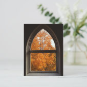 紅葉の景色 ポストカード (スタンド正面)