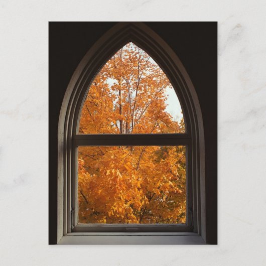 紅葉の景色 ポストカード (正面)
