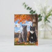 紅葉の木の下でくつろぐ秋の猫たち ポストカード (スタンド正面)