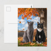 紅葉の木の下でくつろぐ秋の猫たち ポストカード (正面/裏面)