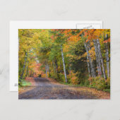 紅葉の木の葉の散在する砂利道 ポストカード (正面/裏面)