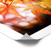 紅葉の木日本の材 ポスター (角)