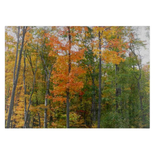 紅葉の木 秋の自然写真 カッティングボード (正面)