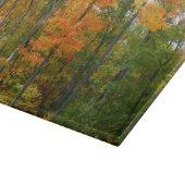 紅葉の木 秋の自然写真 カッティングボード (角)