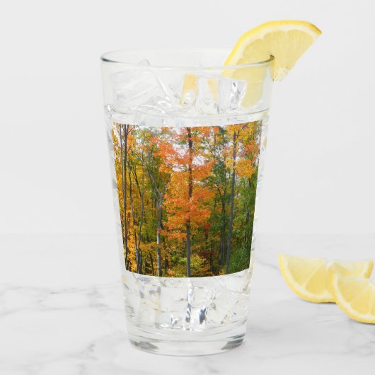紅葉の木 秋の自然写真 タンブラーグラス (アイス裏面)