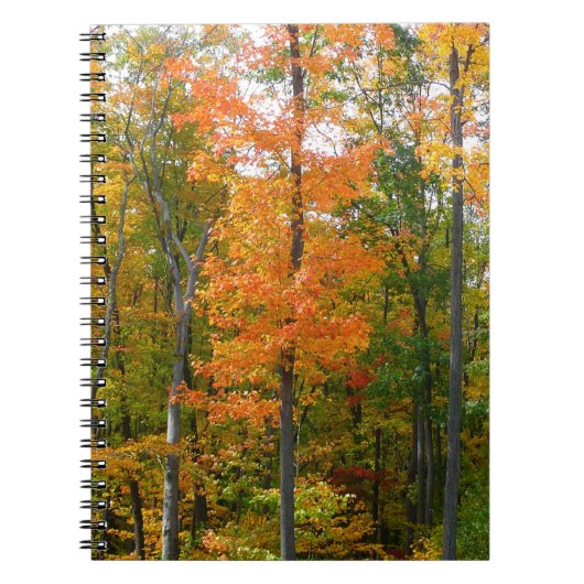 紅葉の木 秋の自然写真 ノートブック (正面)