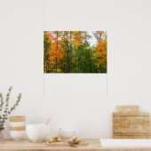 紅葉の木 秋の自然写真 ポスター (キッチン)