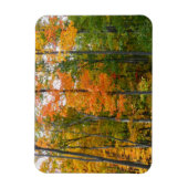紅葉の木 秋の自然写真 マグネット (縦)
