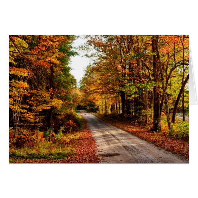 紅葉の林道 (正面横)
