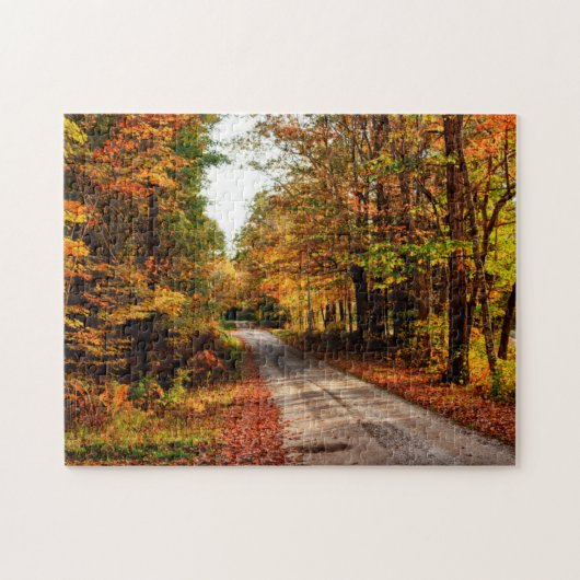 紅葉の林道 ジグソーパズル (横)