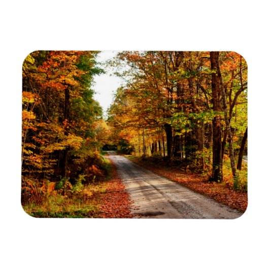紅葉の林道 マグネット (横)