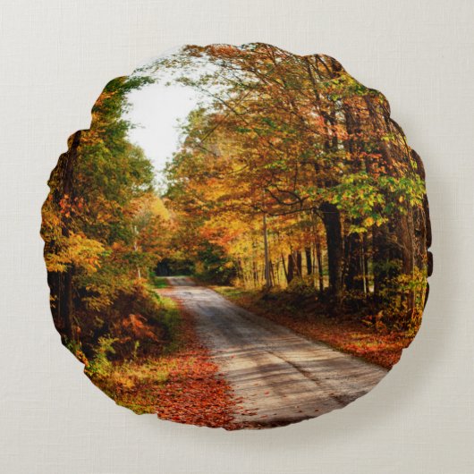 紅葉の林道 ラウンドクッション (正面)