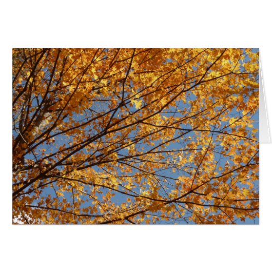 紅葉の枝 II オレンジ色の秋 (正面横)