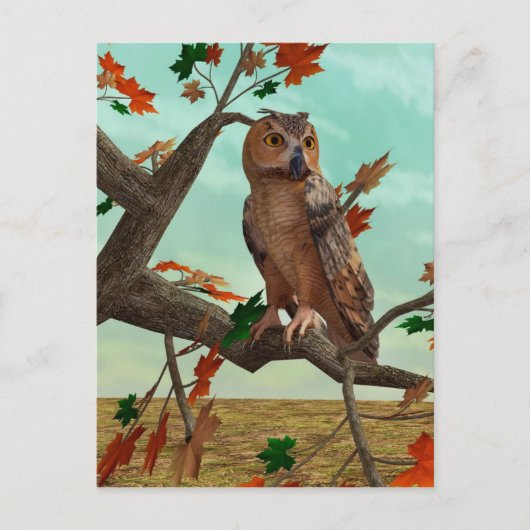 紅葉の梢に佇むフクロウの秋の野生動物アート ポストカード (正面)