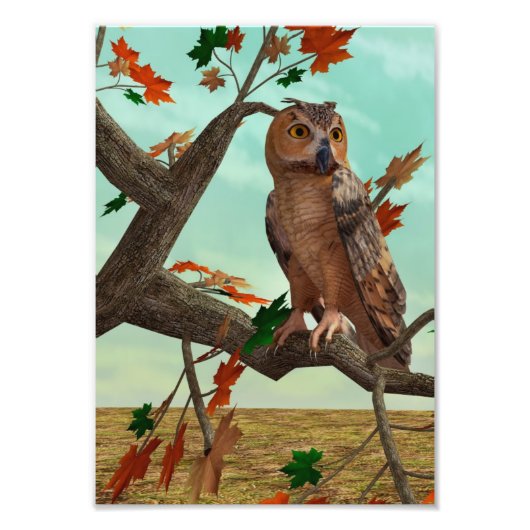 紅葉の梢に止まるフクロウの秋の野生動物アート フォトプリント            (正面)