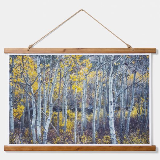 紅葉の森の風景 吊り下げ型タペストリー (正面)