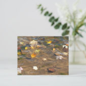 紅葉の池の水の自然写真 ポストカード (スタンド正面)