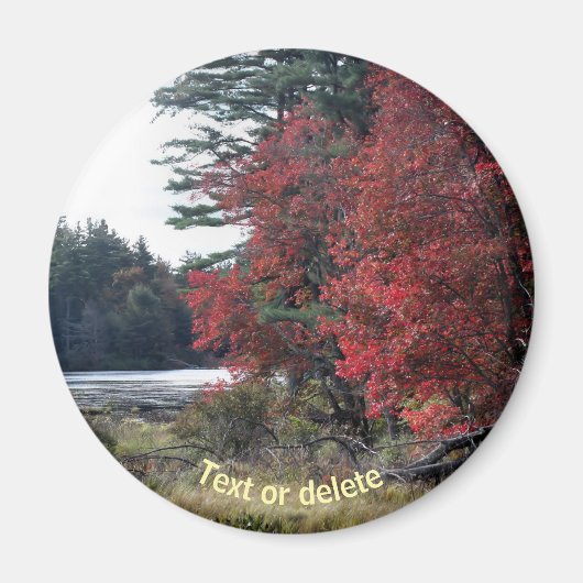 紅葉の池の自然写真 マグネット (正面)