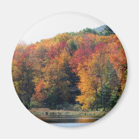 紅葉の池の自然写真 マグネット (正面)