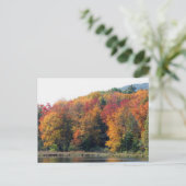 紅葉の池の自然 ショップ名入れ ポストカード (スタンド正面)