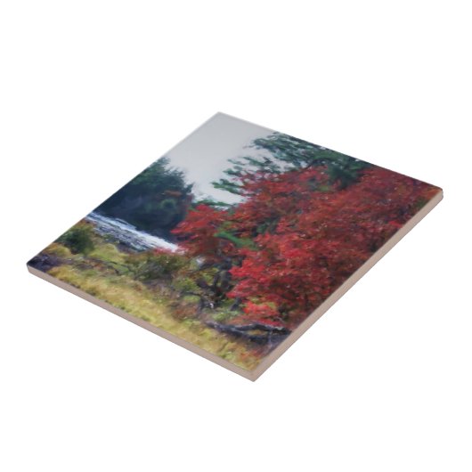 紅葉の池自然アート タイル (側面)