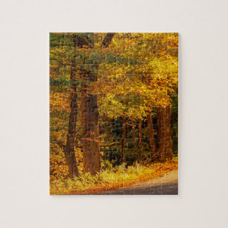 紅葉の田舎道 秋の写真 ジグソーパズル
