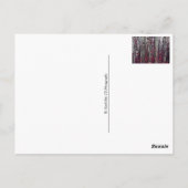 紅葉の白樺 ポストカード (裏面)