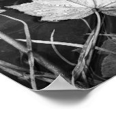 紅葉の白黒アーカイブ ポスター (角)