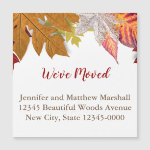 紅葉の磁気移動の発表