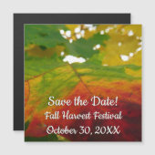 紅葉の秋の自然撮影 (正面/裏面)