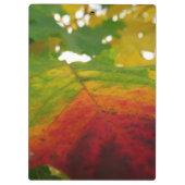 紅葉の秋の自然撮影 クリップボード (裏面)