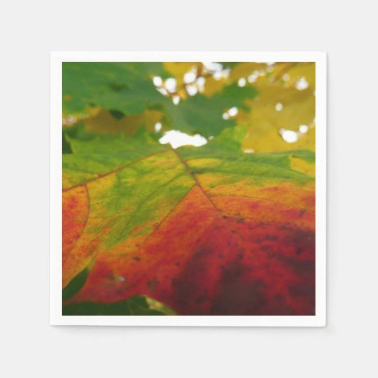 紅葉の秋の自然撮影 スタンダードカクテルナプキン (正面)