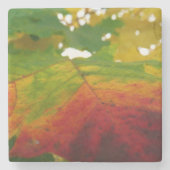 紅葉の秋の自然撮影 ストーンコースター (正面)