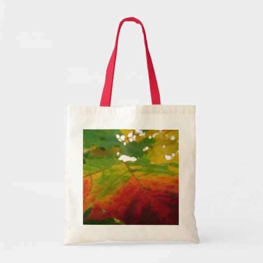 紅葉の秋の自然撮影 トートバッグ (正面)